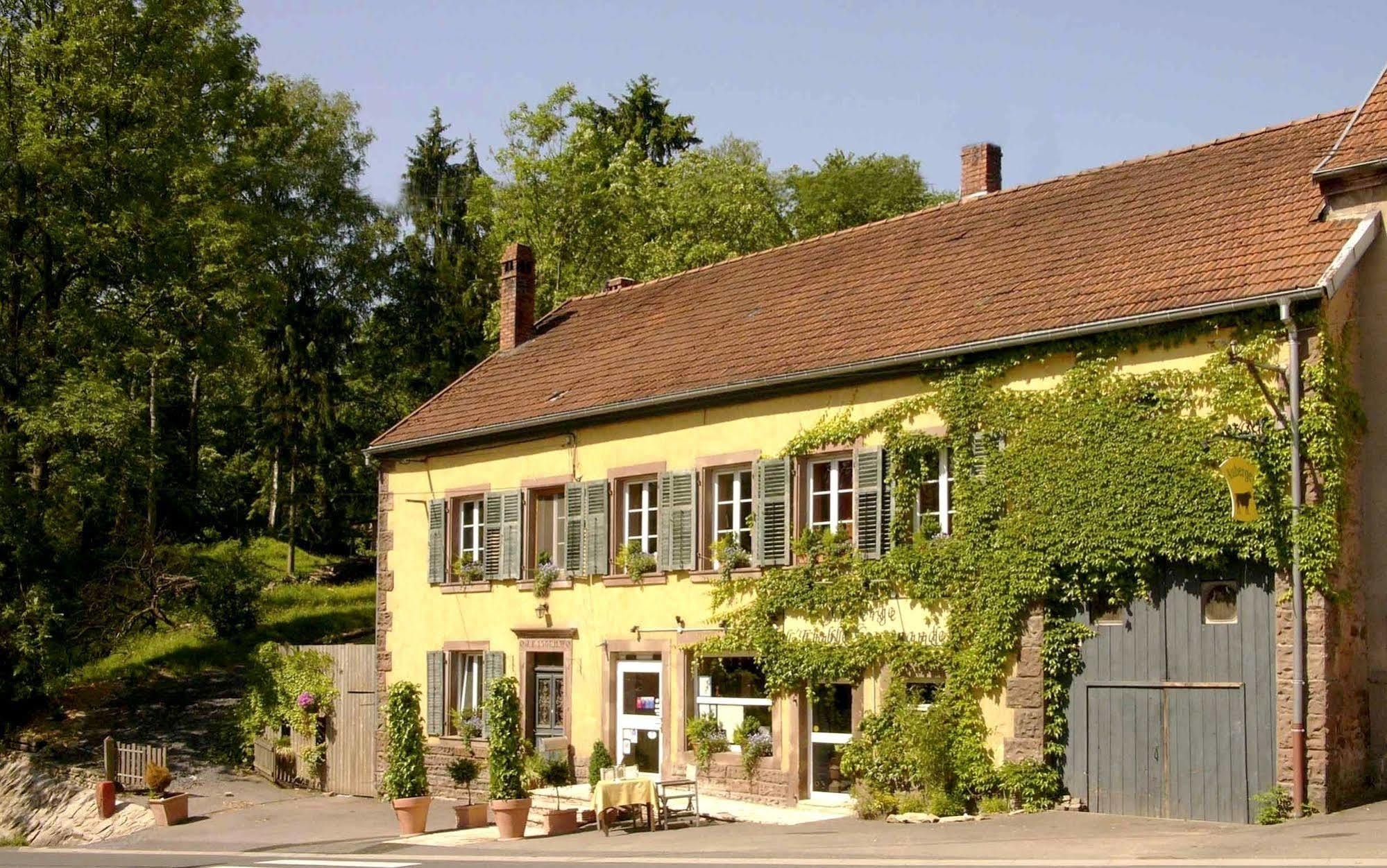 Bed and Breakfast Les Grands Frenes Plaine-de-Walsch Екстер'єр фото